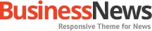 BusinessNews 自动攻击网站工具下载
